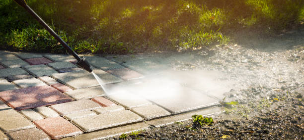 Best Driveway Cleaning and Restoration in Hampton Manor, NY